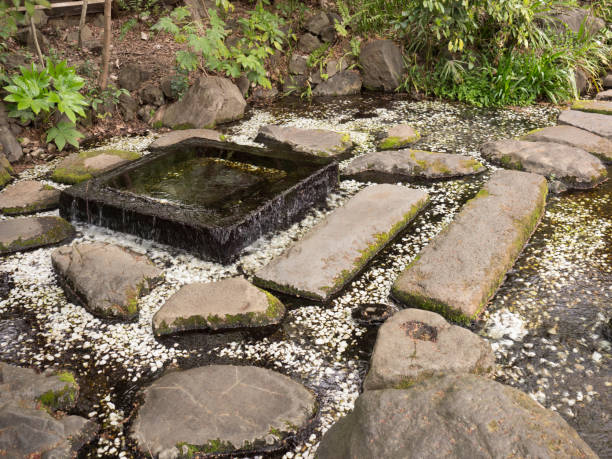 istock Inokashira Park Ochanomizu 874201614