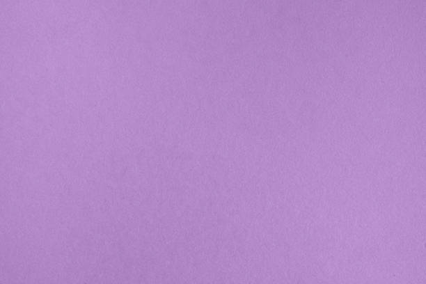 Magenta Paper Large Texture And Background Stock Photo - Download Image Now  - Purple, Paper, Purple Background - iStock