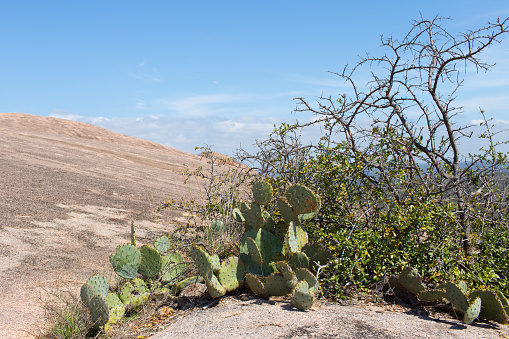 Rocky Desert Landscape