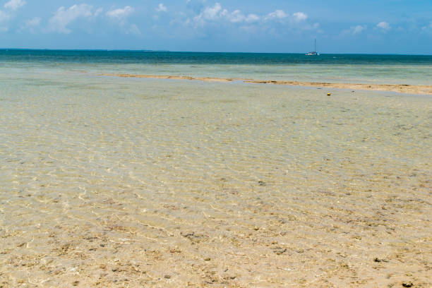 istock View to the Haimurubushi beach (Kohama Island / Kohamajima, Okinawa) 874215668