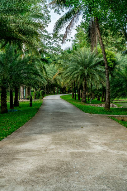 istock Concrete country road 874217740