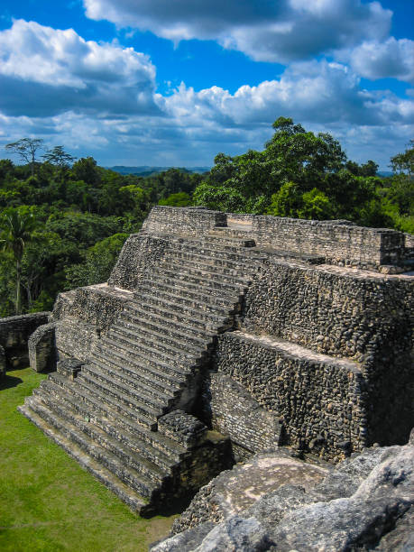 istock Ancient Mayan Temple in the Caracol Ruins in Cayo, Belize 874218550
