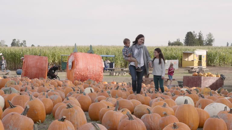 Mother Holding a Toddler in Her Arms While Walking with a Young Girl through a Pumpkin Patch