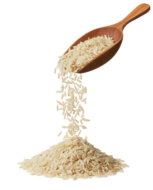 rice  - brown rice 뉴스 사진 이미지