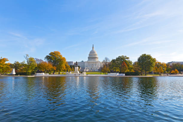 US Capitol in fall on a cold sunny morning with colorful deciduous trees in its front.