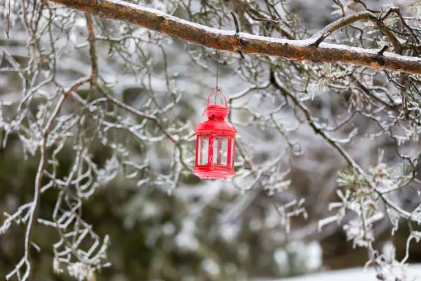 Photo of Icy Red Lantern