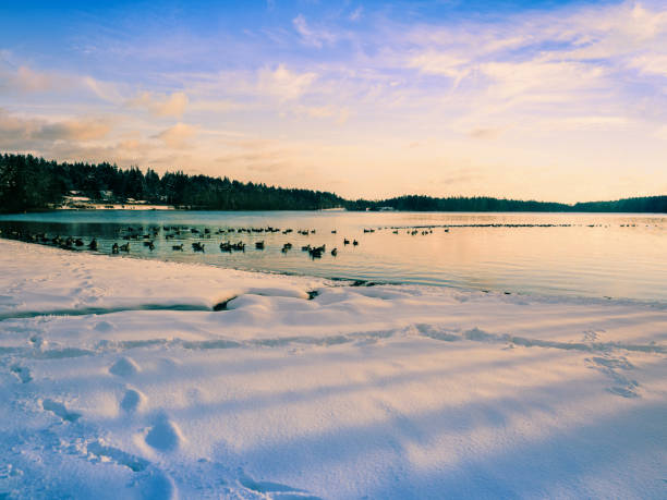 istock Winter landscape at the lake 874225688