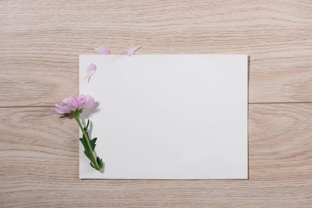 istock Pink flowers and empty paper for your text on wooden background 874231428