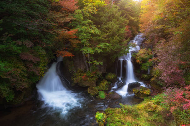 cascata di ryuzu in autunno, nikko, giappone - water beauty in nature waterfall nikko foto e immagini stock