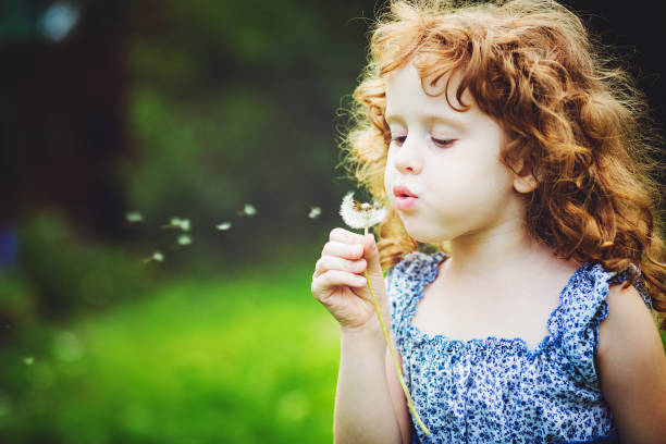 istock Curly girl blowing white dandelion in meadow. 874250736