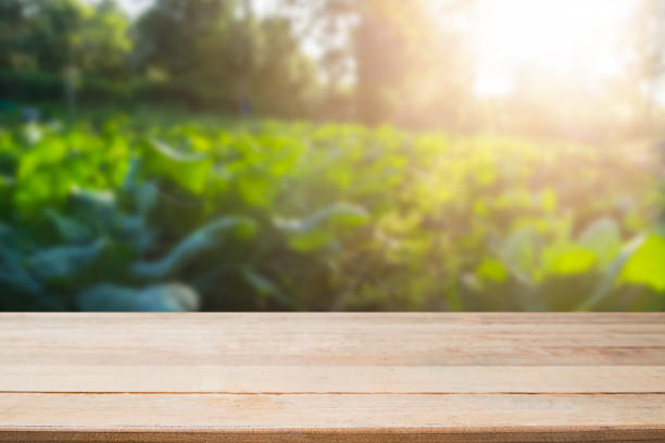 istock Agriculture background table or desk is empty for present product. 874250788