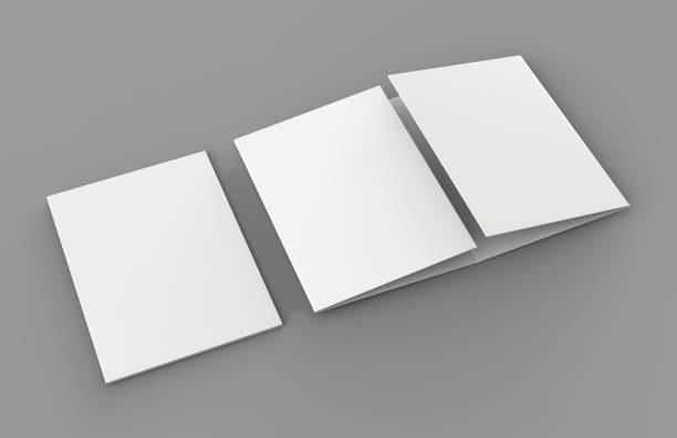 istock Double gate fold brochure blank white template for mock up and presentation design. 3d illustration. 874250962