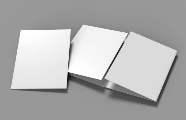 istock Double gate fold brochure blank white template for mock up and presentation design. 3d illustration. 874251104
