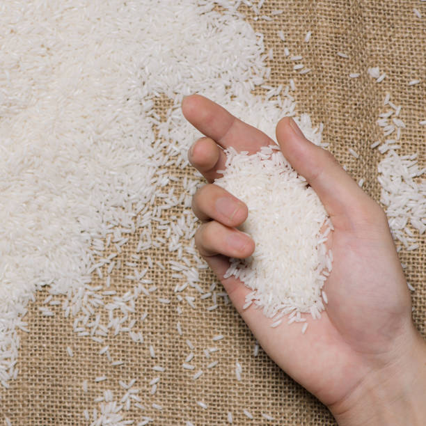 istock White Rice. Jasmine Rice, Thai Rice, Raw Rice. 874251756