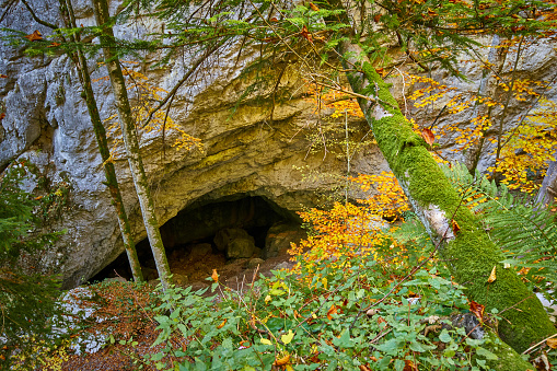 Entrance of a cave in the forest