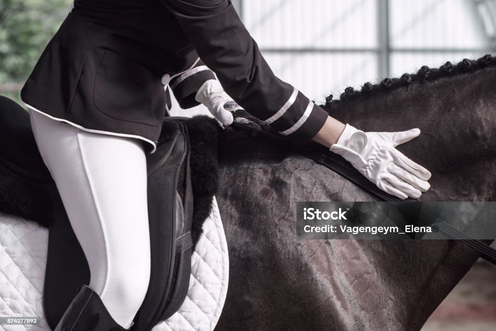 Jockey en selle à cheval - Photo de Cheval libre de droits