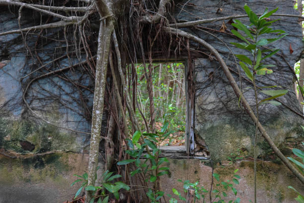 istock Ruins at Curieuse island. Seychelles 874285940