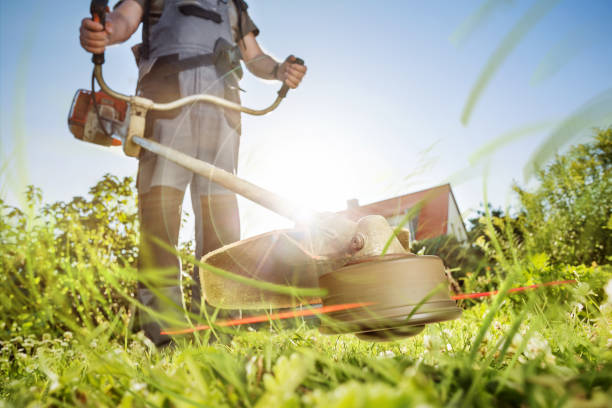 Gardening with a brushcutter Dramatic view of a brushcutter trimming grass. Scythe stock pictures, royalty-free photos & images