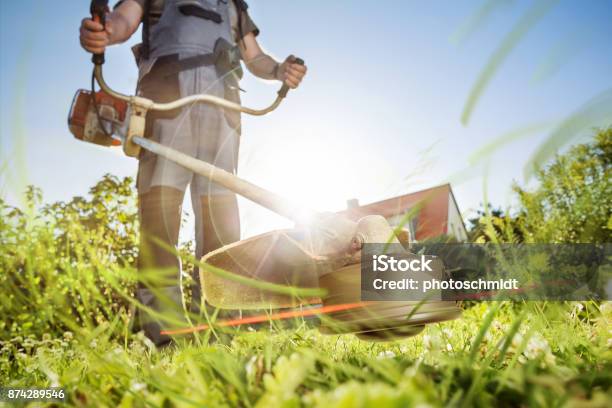 Gardening With A Brushcutter Stock Photo - Download Image Now - Mowing, Gardening, Yard - Grounds