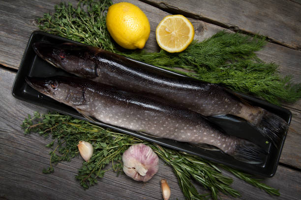istock Raw pike with lemon, garlic and herbs 874291416