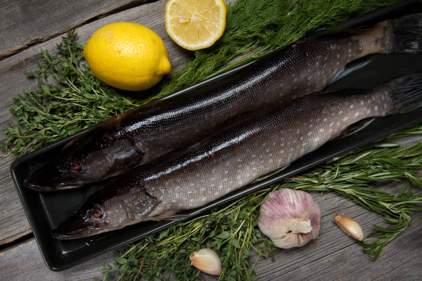 istock Raw pike with lemon, garlic and herbs 874291526