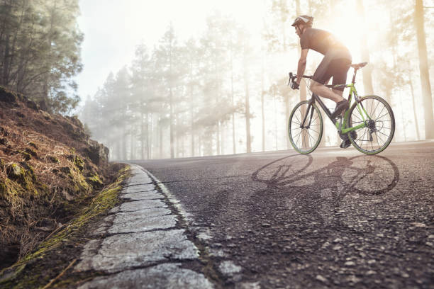 Professional Cyclist on a forest road Athlete on bicycle in foggy forest with the sun shining through the trees. racing bicycle photos stock pictures, royalty-free photos & images
