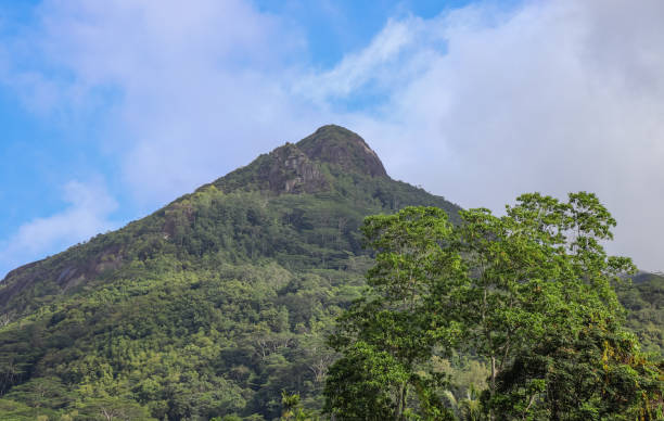 istock Mountain at Seychelles near Beau Vallon beach 874309856