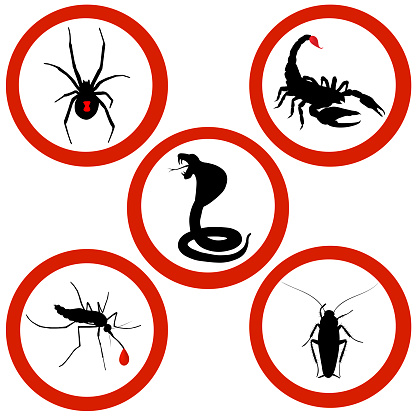 Set of Stop signs of black widow spider, snake cobra, black scorpion, cockroach, mosquito. Vector illustration