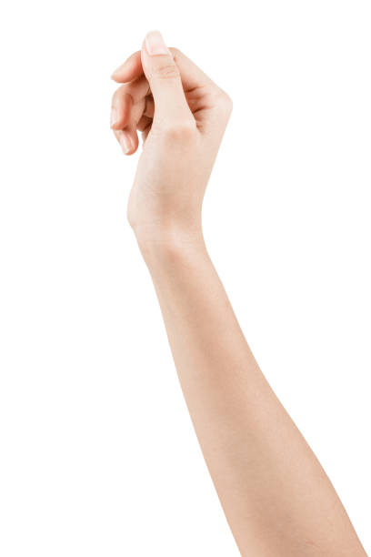 Close up Hand and arm  on white  background. Close up Hand and arm  on white  background With clipping path. Can use for isolated or Show your product. thumb photos stock pictures, royalty-free photos & images