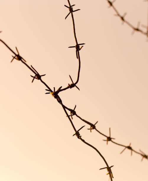 istock barbed wire against the sky at sunset 874329892