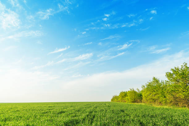 istock blue sky with clouds in sunset over green field 874332050