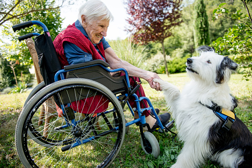 Senior Woman Playing With Pet Dog Outdoors