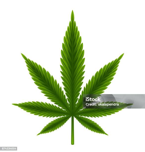 Green Leaf Stock Illustration - Download Image Now - Hemp, Cannabis Plant, Leaf