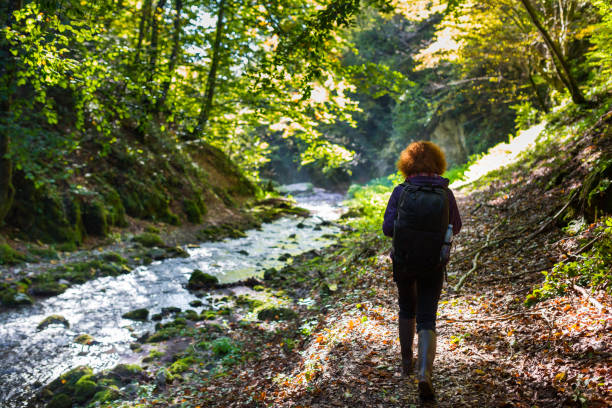 istock Woman on trail in the woods 874337940