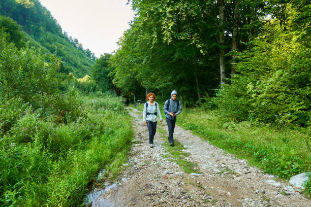 istock Backpackers hiking into the mountains 874338956