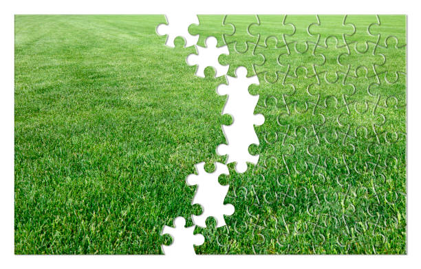 istock Beautiful green mowed lawn in jigsaw puzzle shape - concept image 874343460