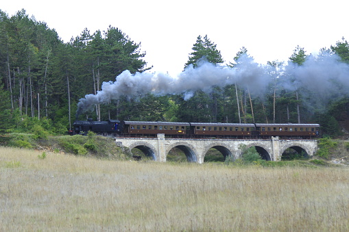 Campo di Giove, Abruzzo, Italy. A steam locomotive, snorting intense gray smoke, passes on a five-arch bridge. It hauls three coaches of a tourist train departing from the Campo di Jove station. In the background a forest of mountain pines.