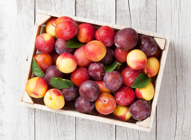 istock Fresh ripe peaches and plums 874347036