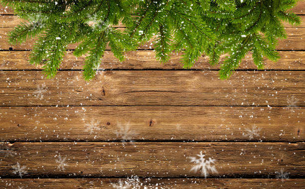 frame of fir branches and snowflakes stock photo