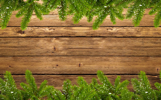 frame of fir branches and snowflakes stock photo