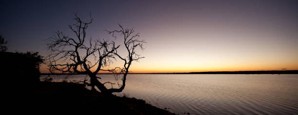 riflessi dell'alba nelle acque alluvionali del deserto - floodwaters foto e immagini stock