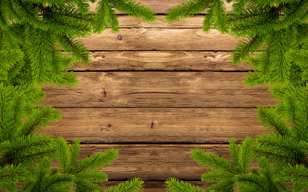 frame of fir branches on wood stock photo