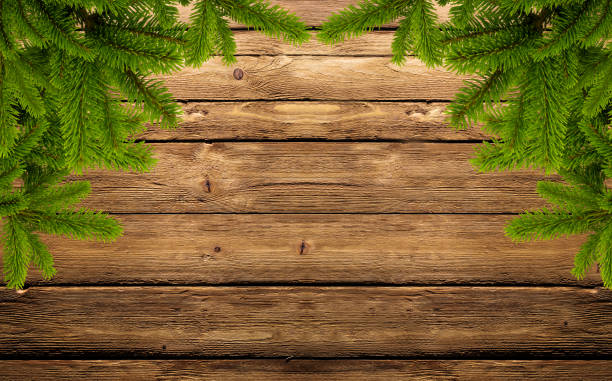 frame of fir branches on wood stock photo