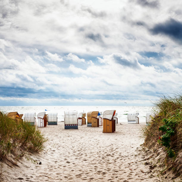 Beach on Baltic sea coast Sandy beach with beach chairs and dune grass. Late summer landscape with cloudy sky. Vacation background. Baltic sea coast, travel destination hooded beach chair stock pictures, royalty-free photos & images