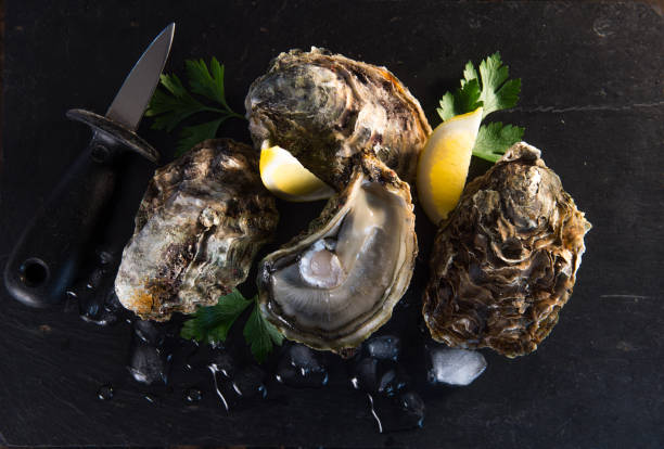 istock Oysters closed and lemon on grey background seafood 874373650