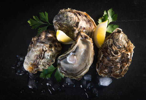 Oysters closed and lemon on grey background seafood