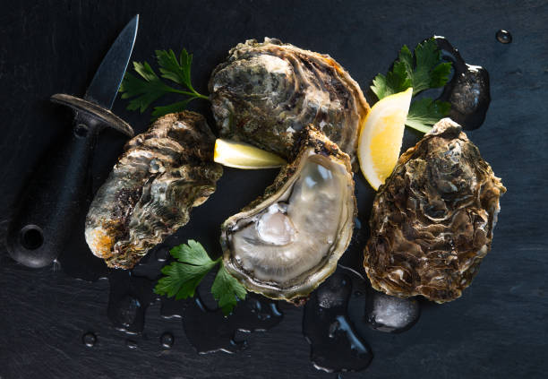 istock Oysters closed and lemon on grey background seafood 874376002