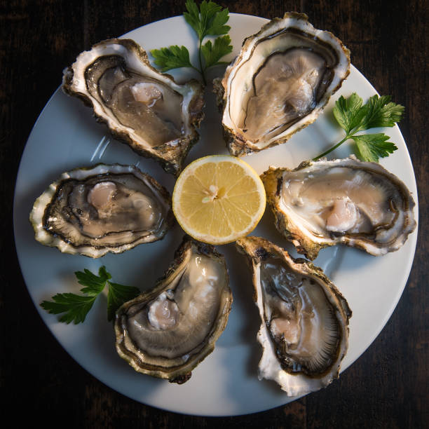 istock Oysters closed and lemon on grey background seafood 874376082
