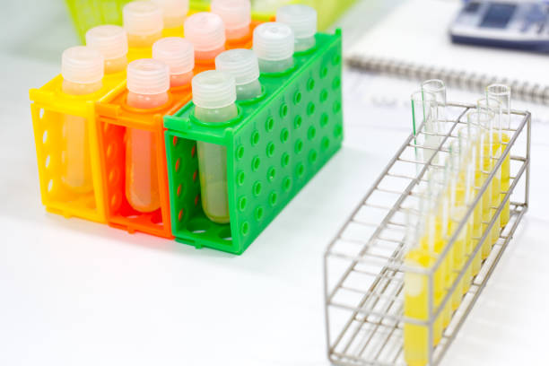 istock Education Biotechnology and Experiment chemical in the laboratory. 874379582