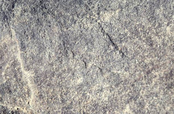 istock Surface of the gray rock 874380154